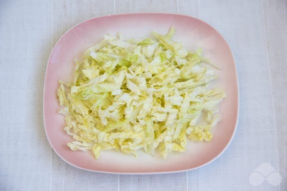 Vitamin salad of Peking cabbage and carrots: photo of recipe preparation, step 2