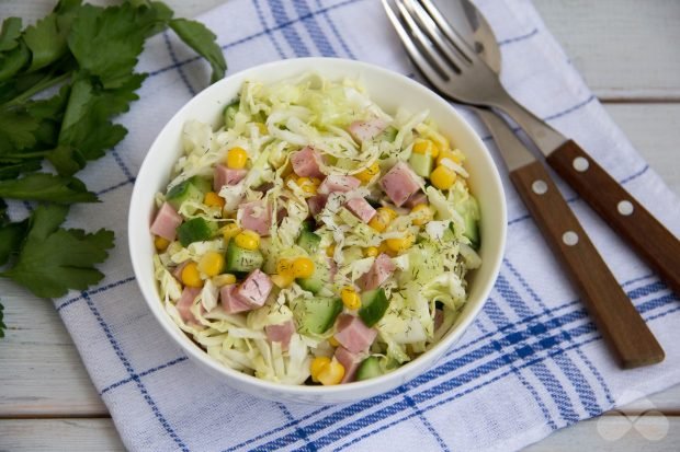 Salad with cabbage and ham – a simple and delicious recipe with photos (step by step)