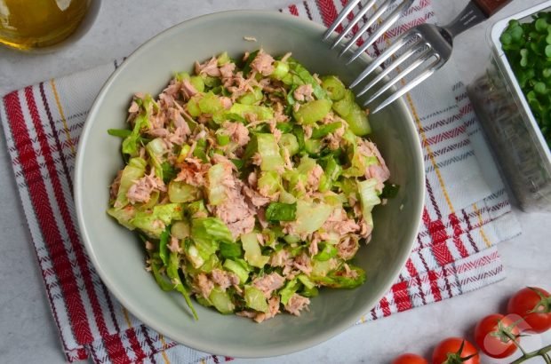 Diet salad with celery and tuna – a simple and delicious recipe with photos (step by step)