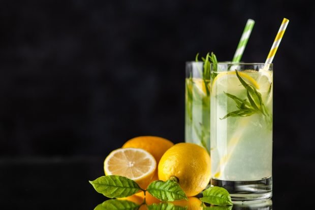 Lemonade with tarragon – a simple and delicious recipe, how to cook step by step