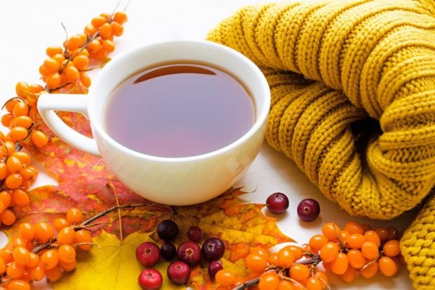 Tea with sea buckthorn and cranberries is a simple and delicious recipe, how to cook step by step