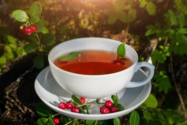 Lingonberry tea is a simple and delicious recipe, how to cook step by step