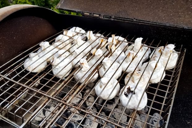 Marinade for champignons on the grill with sour cream is a simple and delicious recipe, how to cook step by step