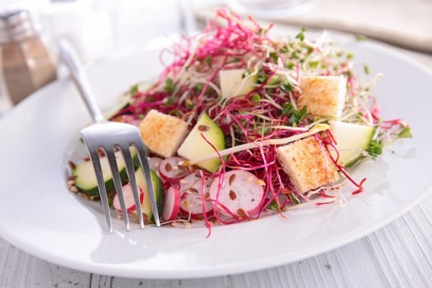 Vegetable salad with crackers – a simple and delicious recipe, how to cook step by step