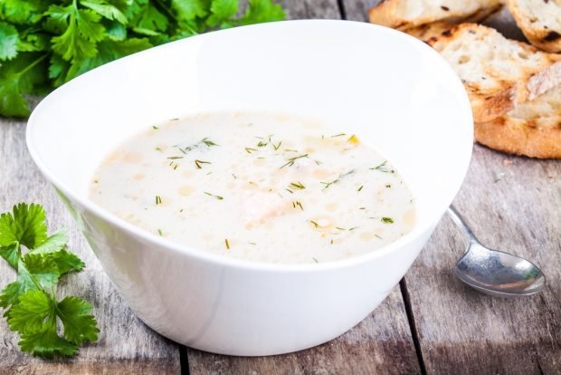 Salmon soup with milk – a simple and delicious recipe, how to cook step by step