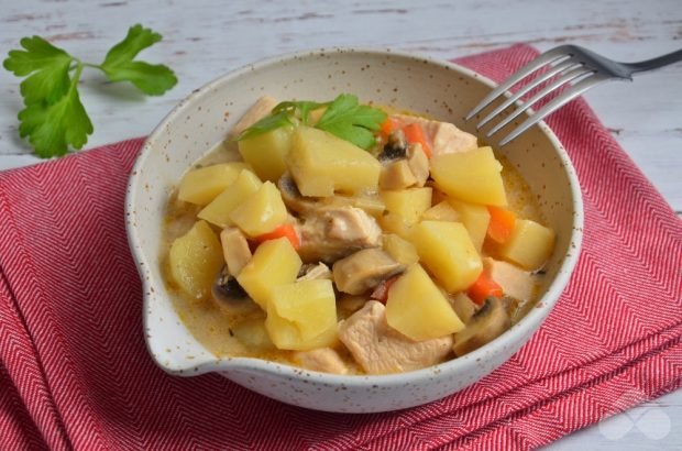 Vegetable stew with chicken and mushrooms – a simple and delicious recipe with photos (step by step)