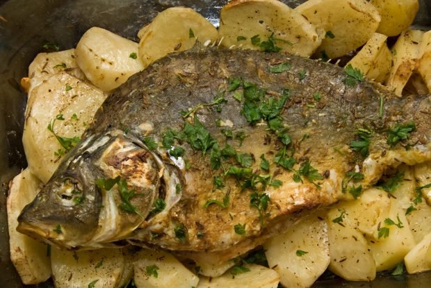 Crucian carp with potatoes in the oven – a simple and delicious recipe, how to cook step by step