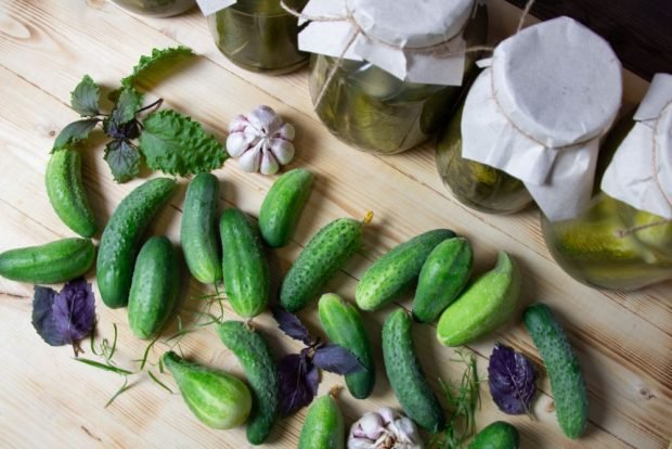 Pickled cucumbers with basil for winter – a simple and delicious recipe, how to cook step by step