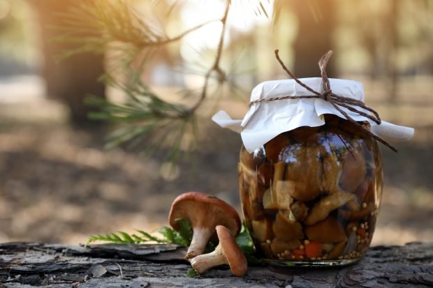 Pickled mushrooms with vinegar for winter