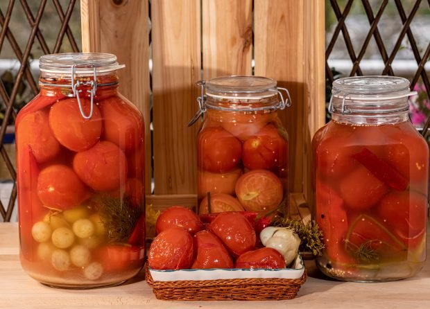 Pickled tomatoes with grapes for winter – a simple and delicious recipe how to cook step by step