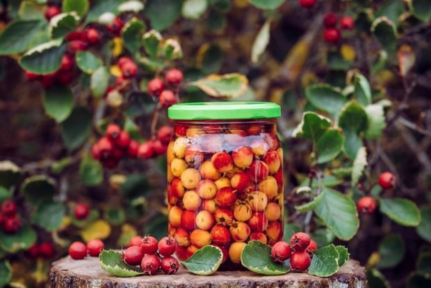 Hawthorn compote with citric acid for winter is a simple and delicious recipe, how to cook step by step