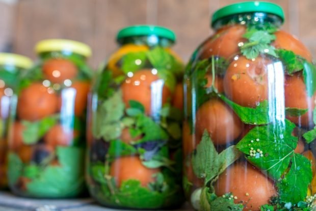 Canned tomatoes with greens – a simple and delicious recipe, how to cook step by step