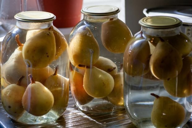 Compote of whole pears for winter – a simple and delicious recipe, how to cook step by step