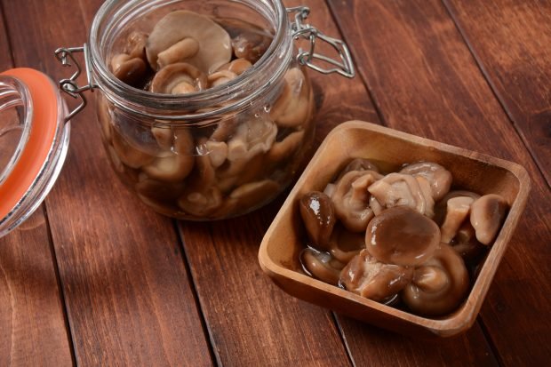 Pickled butter mushrooms for winter – a simple and delicious recipe, how to cook step by step