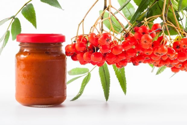 Wild mountain ash jam – a simple and delicious recipe, how to cook step by step