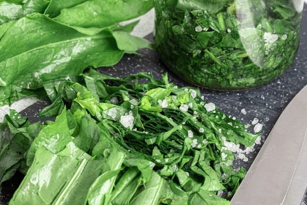 Sorrel for winter with salt is a simple and delicious recipe, how to cook step by step