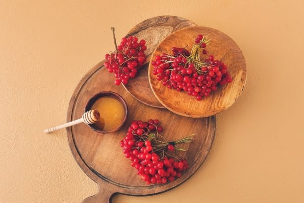 Red viburnum with honey for winter