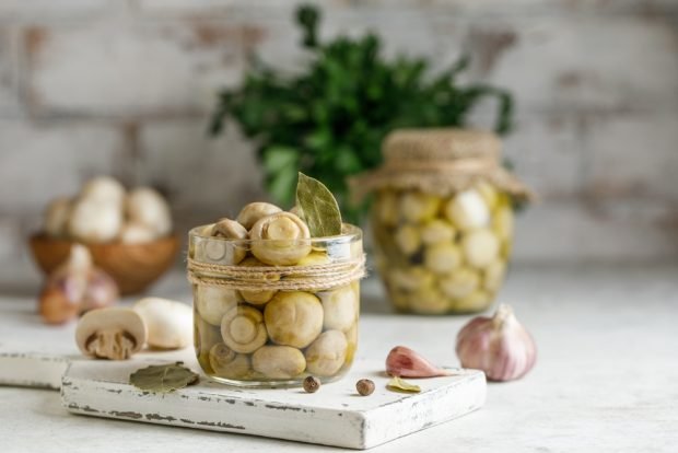 Pickled field mushrooms for winter