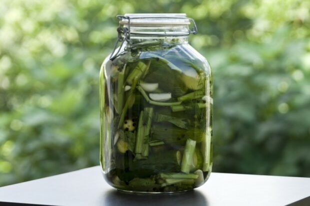 Pickled celery with cucumbers and herbs