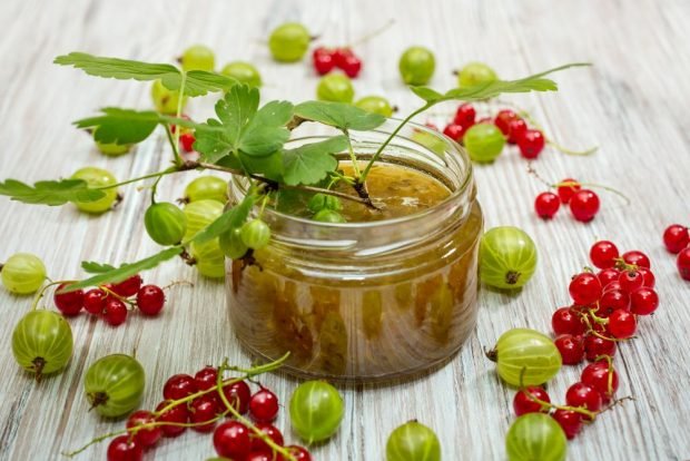 Gooseberry and red currant jelly – a simple and delicious recipe how to cook step by step