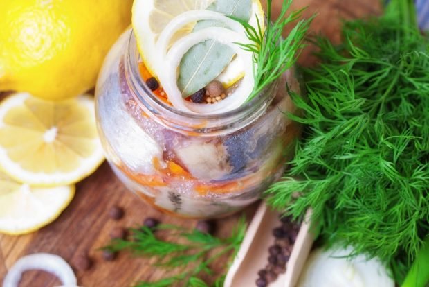 Canned herring for winter – a simple and delicious recipe, how to cook step by step