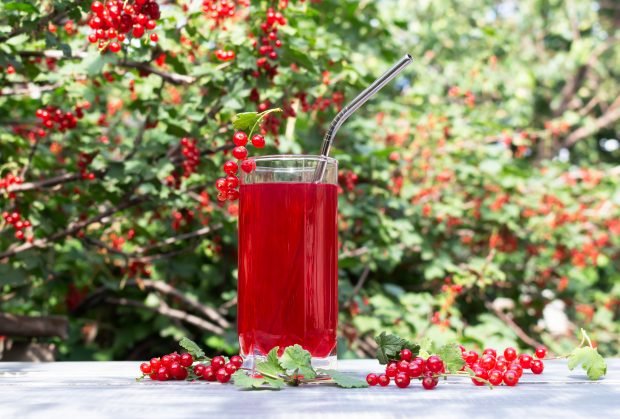 Red currant juice for winter – a simple and delicious recipe, how to cook step by step