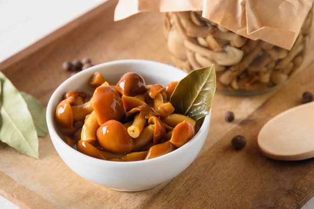 Pickled honey mushrooms with citric acid for winter