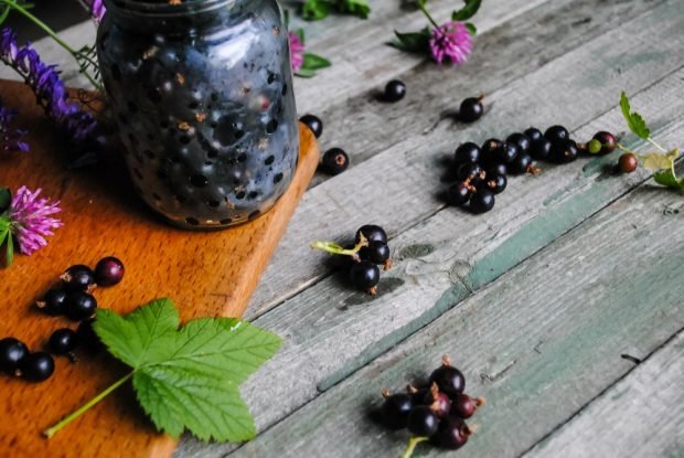 Currant in its own juice with sugar for the winter – a simple and delicious recipe, how to cook step by step