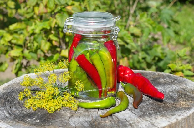 Pickled bitter pepper for winter – a simple and delicious recipe, how to cook step by step