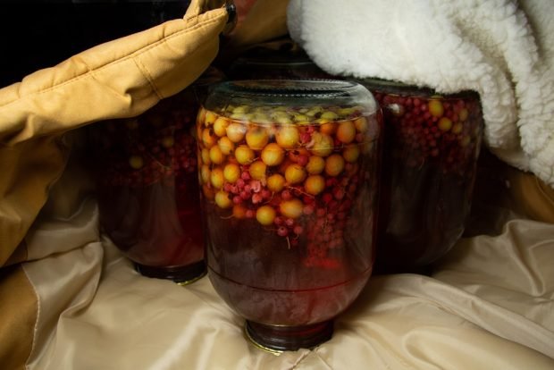 Compote of gooseberries and red currants for winter is a simple and delicious recipe, how to cook step by step