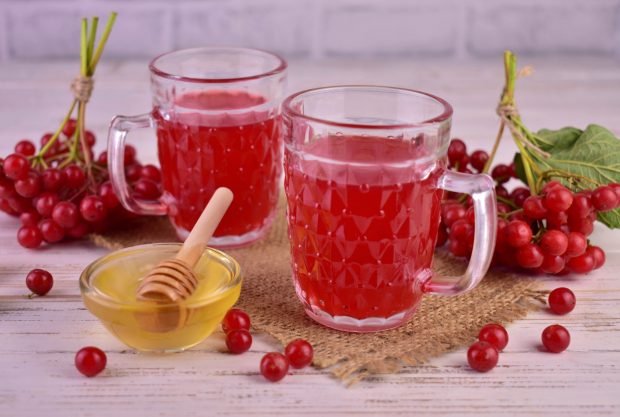 Viburnum juice at home for the winter – a simple and delicious recipe, how to cook step by step