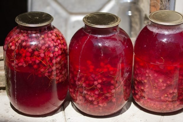 Compote of red and white currants in jars for the winter – a simple and delicious recipe, how to cook step by step