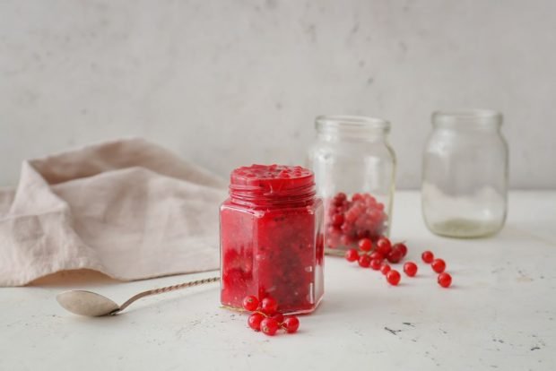 Red currant tkemali for winter – a simple and delicious recipe, how to cook step by step