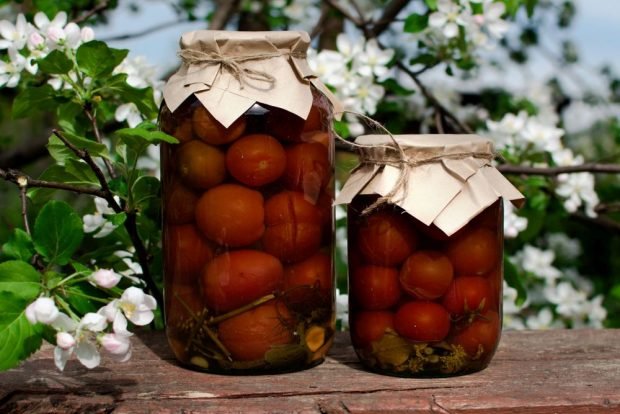 Pickled tomatoes with plums for winter – a simple and delicious recipe, how to cook step by step