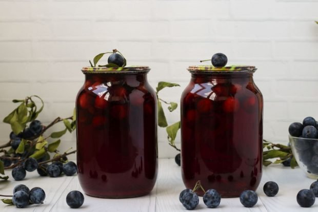 Compote of blackthorn for the winter is a simple and delicious recipe, how to cook step by step