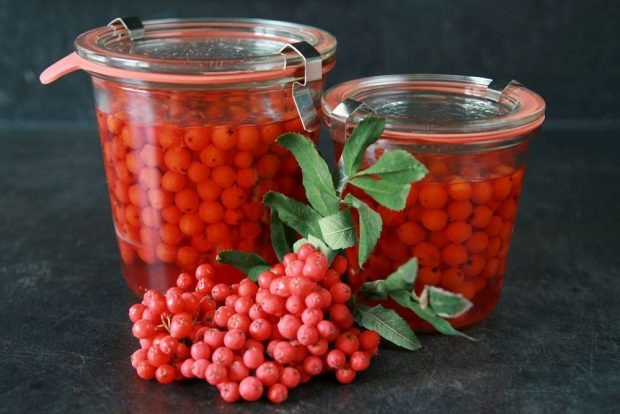 Compote of red mountain ash for winter