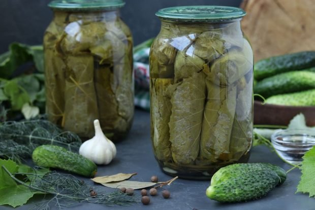 Cucumbers with grape leaves for winter – a simple and delicious recipe, how to cook step by step