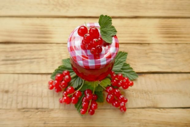 Pickled red currant on twigs – a simple and delicious recipe, how to cook step by step