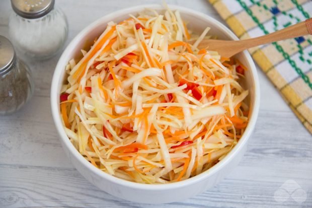 Spicy cabbage salad – a simple and delicious recipe with photos (step by step)