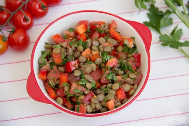 Lentil salad with tomatoes – a simple and delicious recipe with photos (step by step)