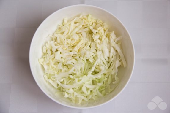 Fresh cabbage salad with prunes and mayonnaise: photo of recipe preparation, step 1